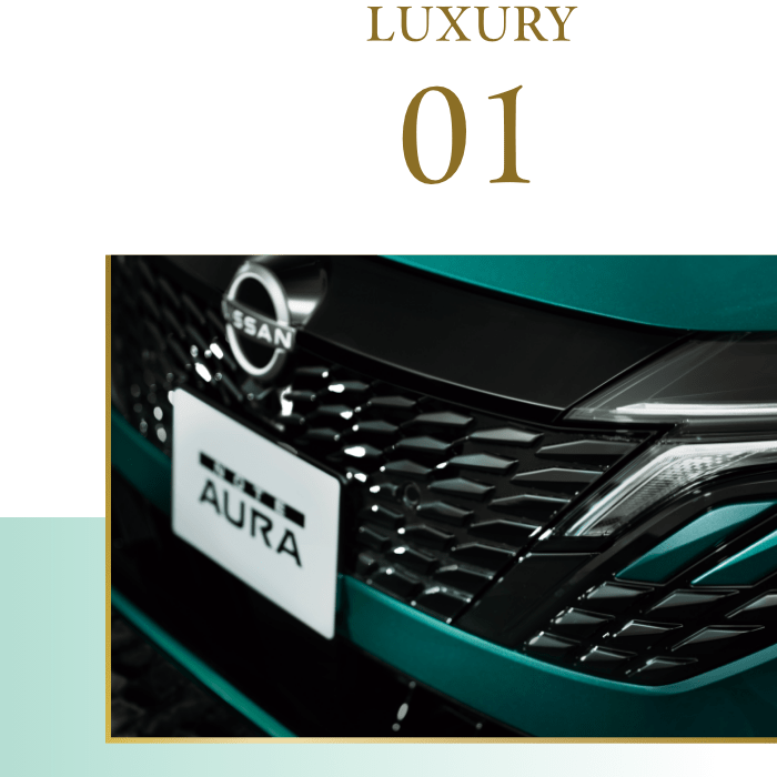 LUXURY 01