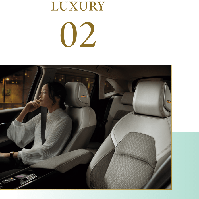 LUXURY 02