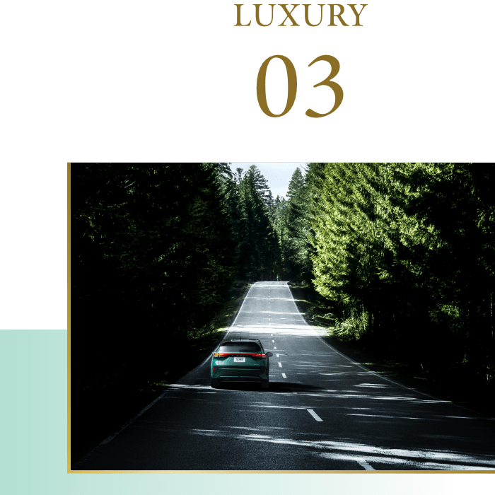 LUXURY 03