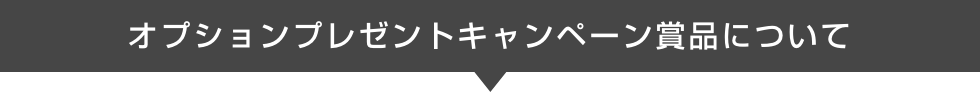 オプションプレゼントキャンペーン賞品について