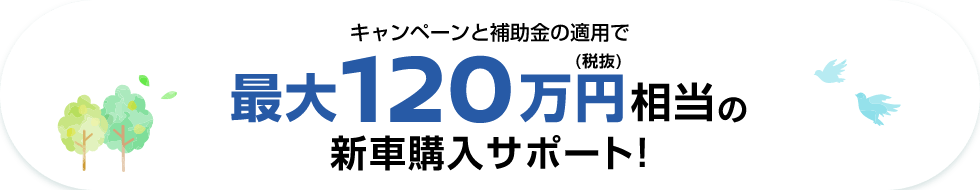 キャンペーンと補助金の適用で最大120万円(税抜)相当の新車購入サポート!