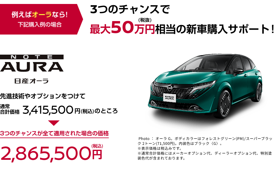 新車購入チャンス! 購入支援金プレゼントキャンペーン実施中！埼玉・千葉限定でディーラーオプションもプレゼント!｜埼玉県・千葉県 日産販売会社グループ