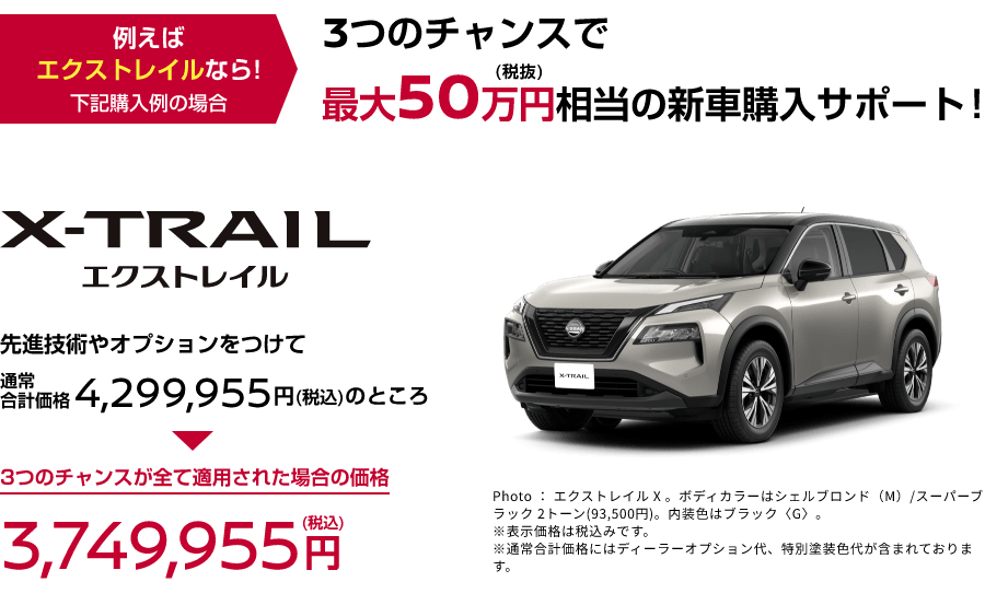 新車購入チャンス! 購入支援金プレゼントキャンペーン実施中！埼玉・千葉限定でディーラーオプションもプレゼント!｜埼玉県・千葉県 日産販売会社グループ