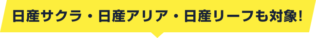 日産サクラ・日産アリア・日産リーフも対象!