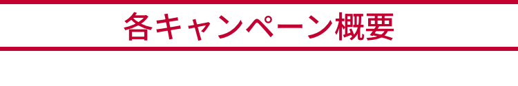 各キャンペーン概要