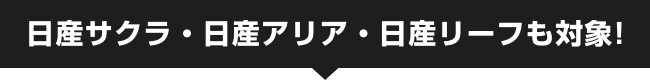 日産サクラ・日産アリア・日産リーフも対象!