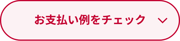 お支払い例をチェック