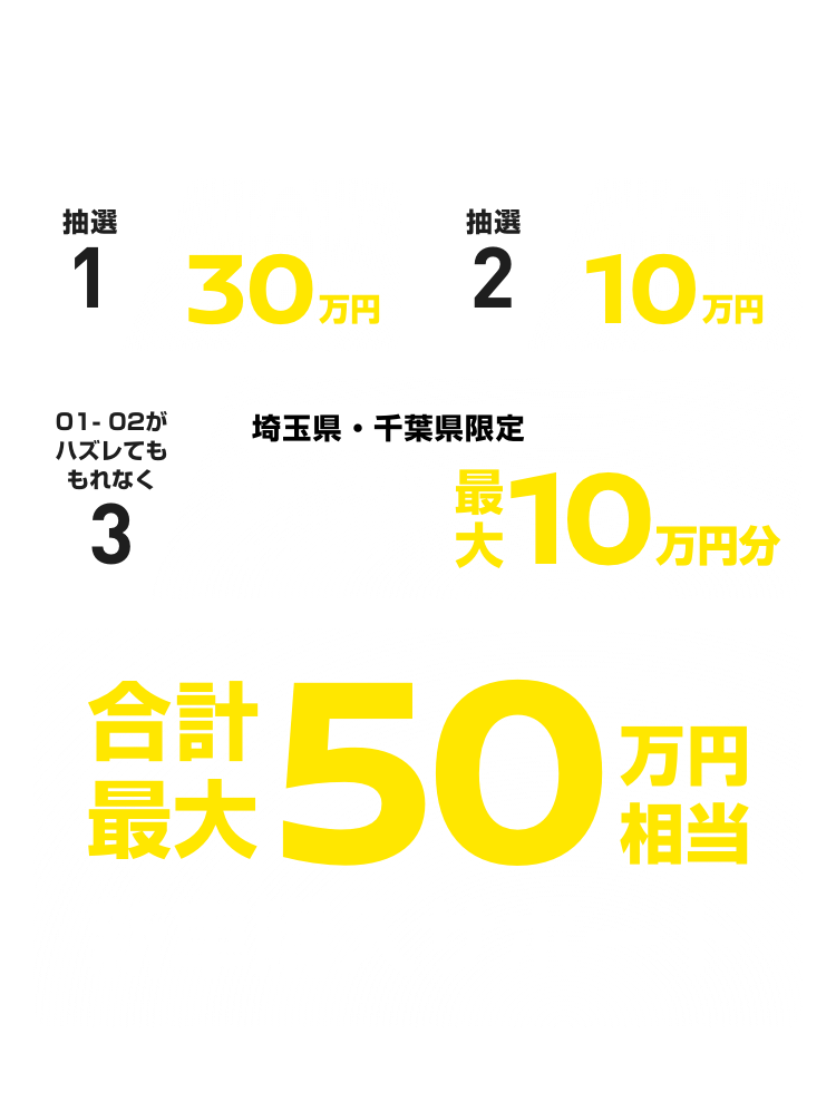 抽選1：WEB応募で30万円（税抜）｜抽選2：試乗で10万円（税抜）｜01-02がハズレてももれなく 3：埼玉県・千葉県限定 試乗・ご成約でディーラーオプション最大10万円分（税抜）｜合計最大50万円（税抜）相当新車購入サポート