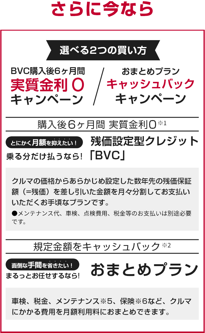 さらに今なら選べる2つの買い方
