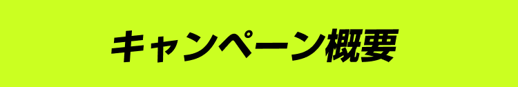 キャンペーン概要