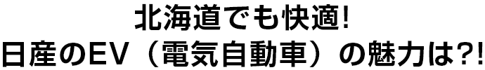 北海道での日産の電気自動車の魅力は?! 