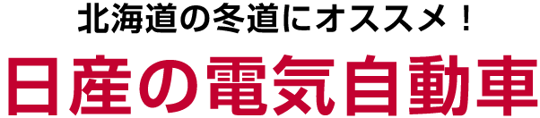 北海道の冬道にオススメ！日産の電気自動車