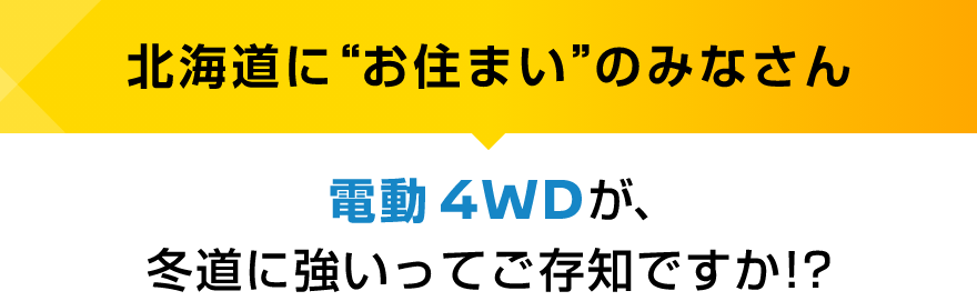 北海道に“お住まい”のみなさん 電動 4WDが、冬道に強いってご存知ですか！？