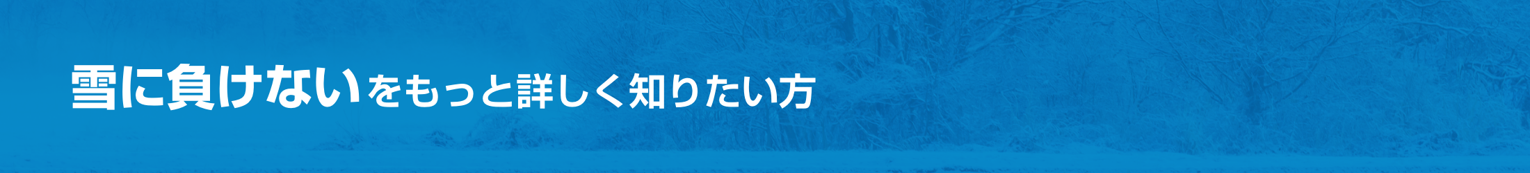 雪に負けないをもっと詳しく知りたい方