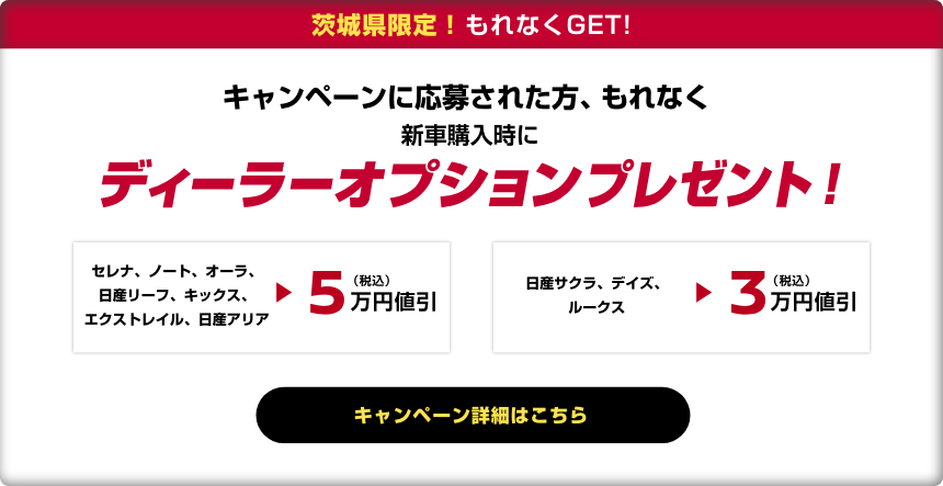 キャンペーンに応募された方、もれなく新車購入時にディーラーオプションプレゼント！
