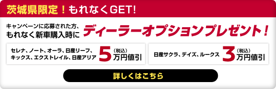 キャンペーンに応募の上、もれなく新車購入時にディーラーオプションプレゼント！