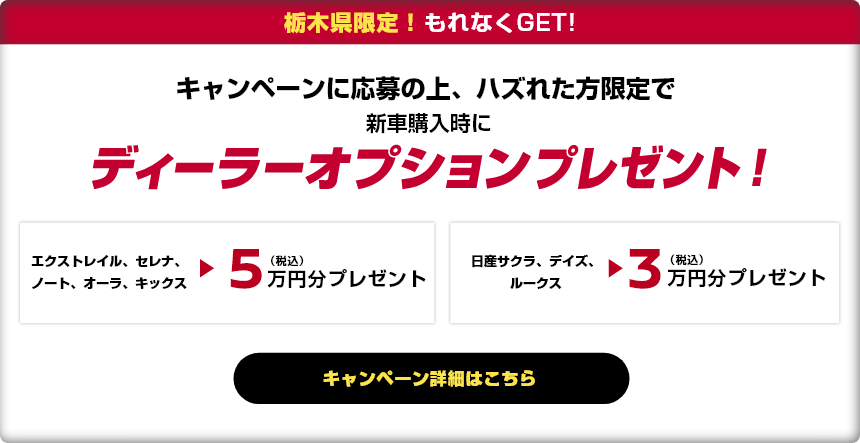 キャンペーンに応募の上、ハズれた方限定で新車購入時にディーラーオプションプレゼント！