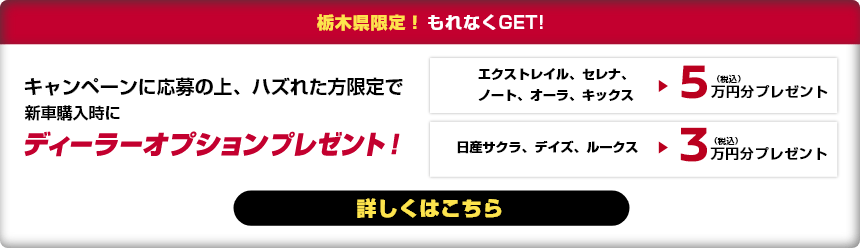 キャンペーンに応募の上、ハズれた方限定で新車購入時にディーラーオプションプレゼント！