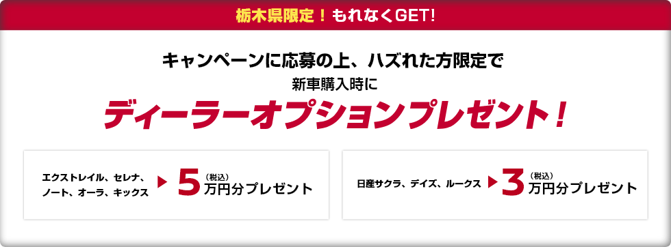 キャンペーンに応募の上、ハズれた方限定で新車購入時にディーラーオプションプレゼント!