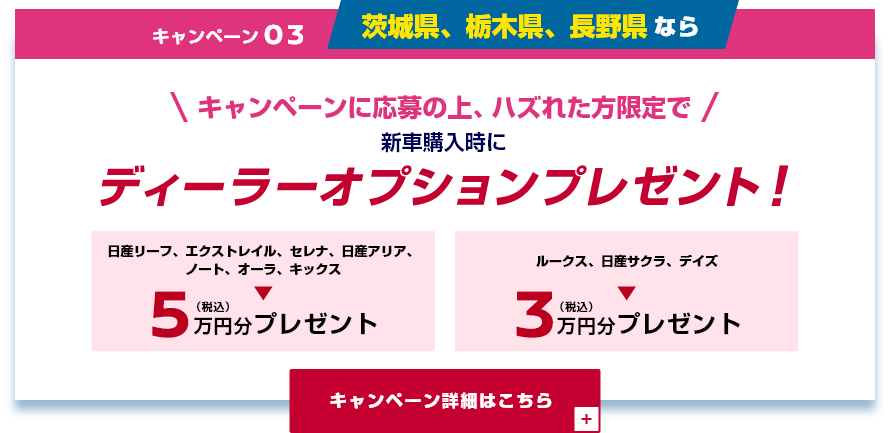 キャンペーン03 茨城県、栃木県、長野県ならキャンペーンに応募の上、ハズれた方限定で新車購入時にディーラーオプションプレゼント!