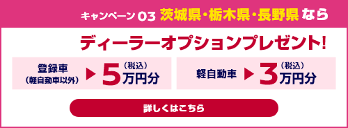 キャンペーン03 茨城県・栃木県・長野県ならディーラーオプションプレゼント!