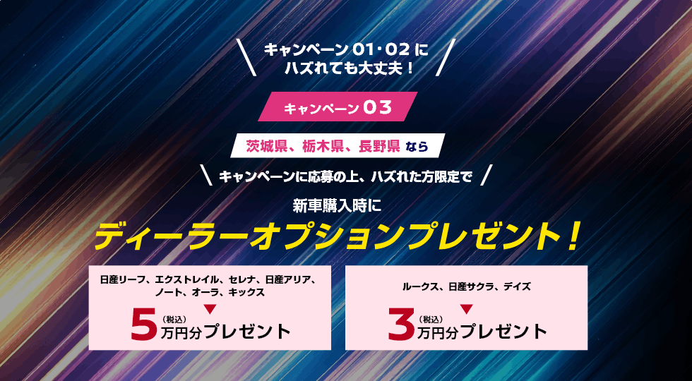 キャンペーン03 茨城県、栃木県、長野県ならキャンペーンに応募の上、ハズれた方限定で新車購入時にディーラーオプションプレゼント!