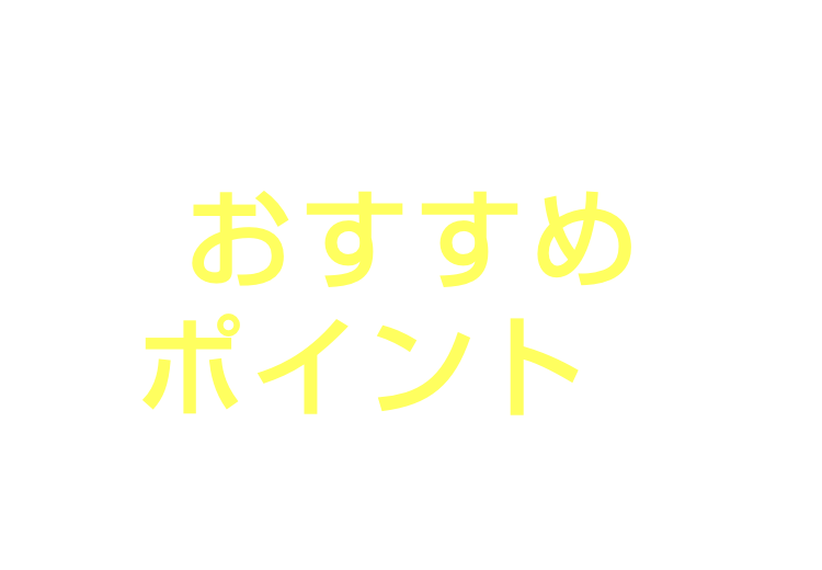 上質をまとったコンパクト オーラのおすすめポイントはこちら