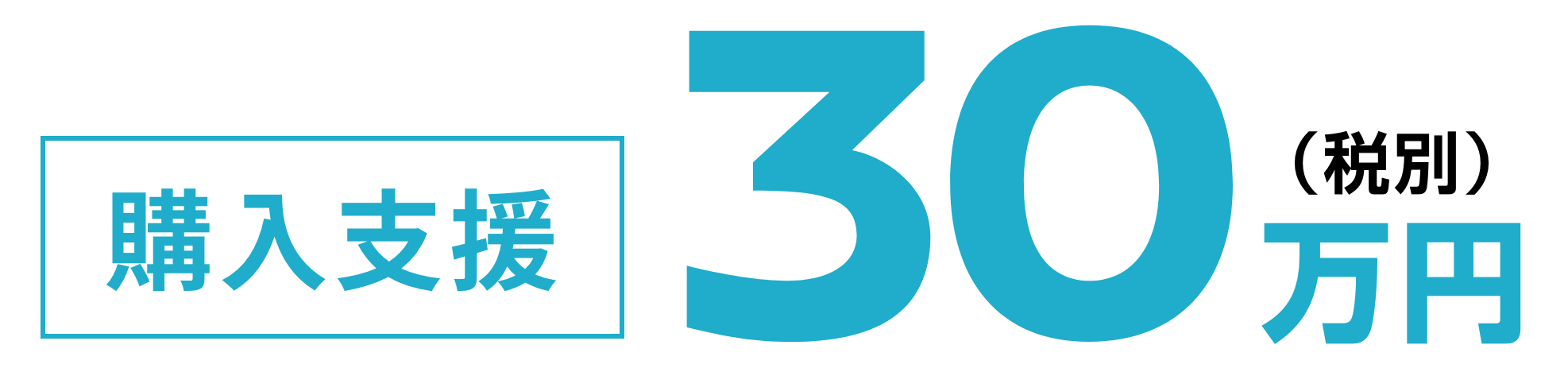 購入支援30万円（税別）