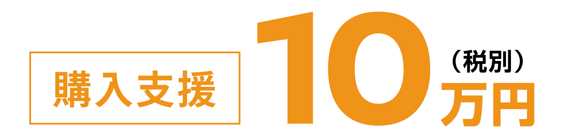 購入支援10万円（税別）