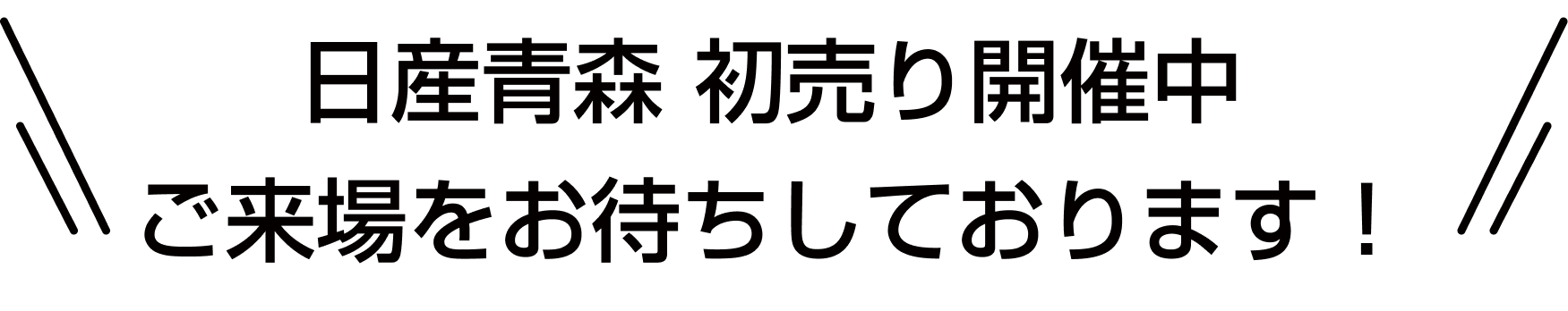 日産青森 初売り開催中 ご来場をお待ちしております！