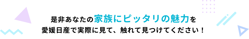 是非あなたの家族にピッタリの魅力を愛媛日産で実際に見て、触れて見つけてください！