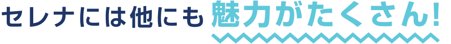 セレナには他にも魅力がたくさん！
