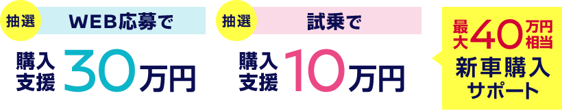 抽選WEB応募で購入支援30万円 抽選試乗で購入支援10万円