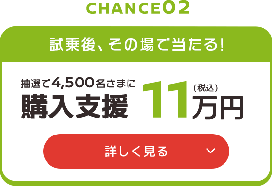 購入支援11万円