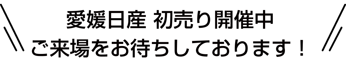 愛媛日産 初売り開催中 ご来場をお待ちしております！