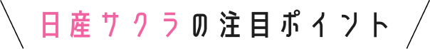 日産サクラの注目ポイント