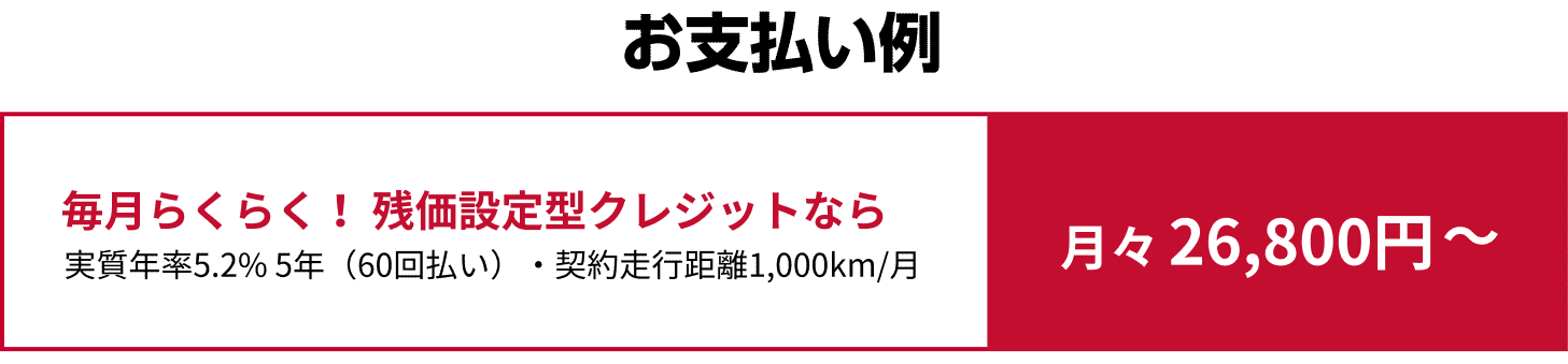 お支払い例