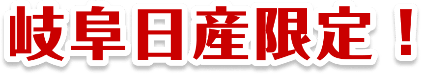 岐阜日産限定！