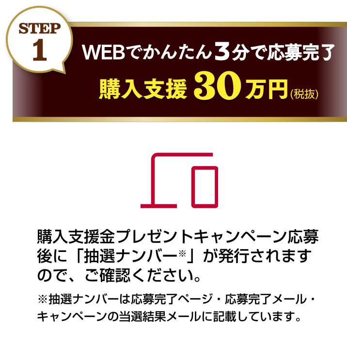 STEP1 WEBでかんたん3分で応募完了 購入支援30万円