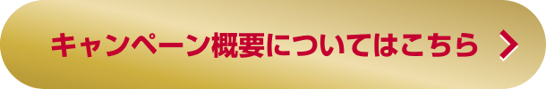 ️キャンペーン概要についてはこちら