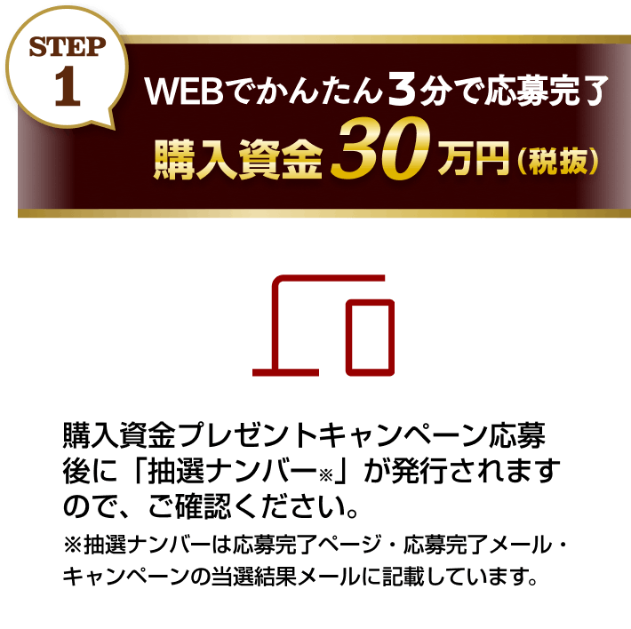 STEP1 WEBでかんたん3分で応募完了 購入資金30万円