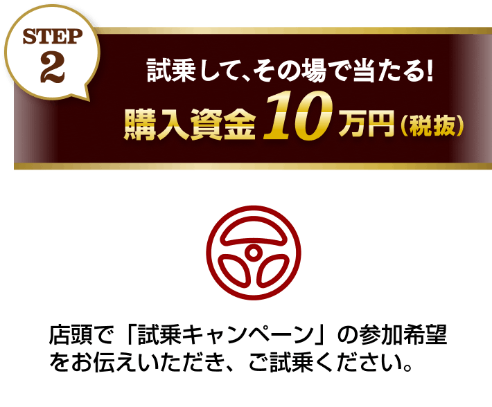 STEP2 試乗して、その場で当たる！購入資金10万円