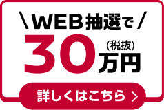 WEB抽選で30万円(税抜) 詳しくはこちら