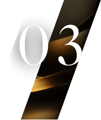 03