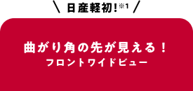 日産軽初！曲がり角の先が見える！フロントワイドビュー