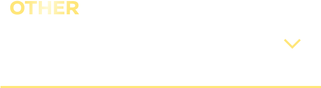 OTHER 長野日産オリジナルページ! 日産車の魅力を紹介!