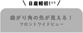 日産軽初！曲がり角の先が見える！フロントワイドビュー