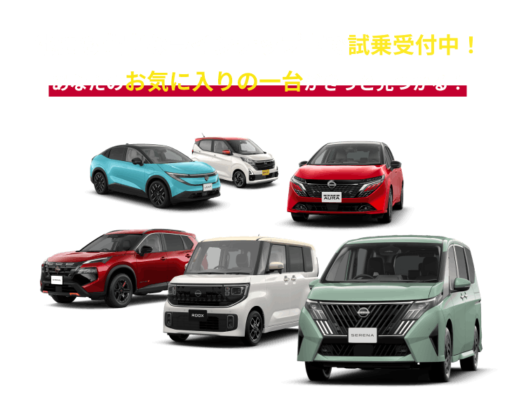 他にも豊富なラインナップ車で試乗受付中!あなたのお気に入りの一台がきっと見つかる!