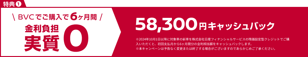 BVCでご購入で6ヶ月間 金利負担実質0＆58,300円キャッシュバック