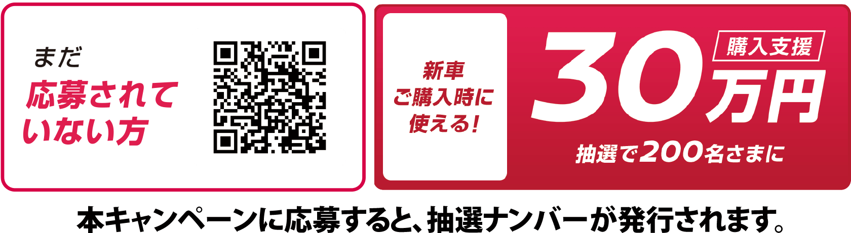 抽選で30万円の購入支援